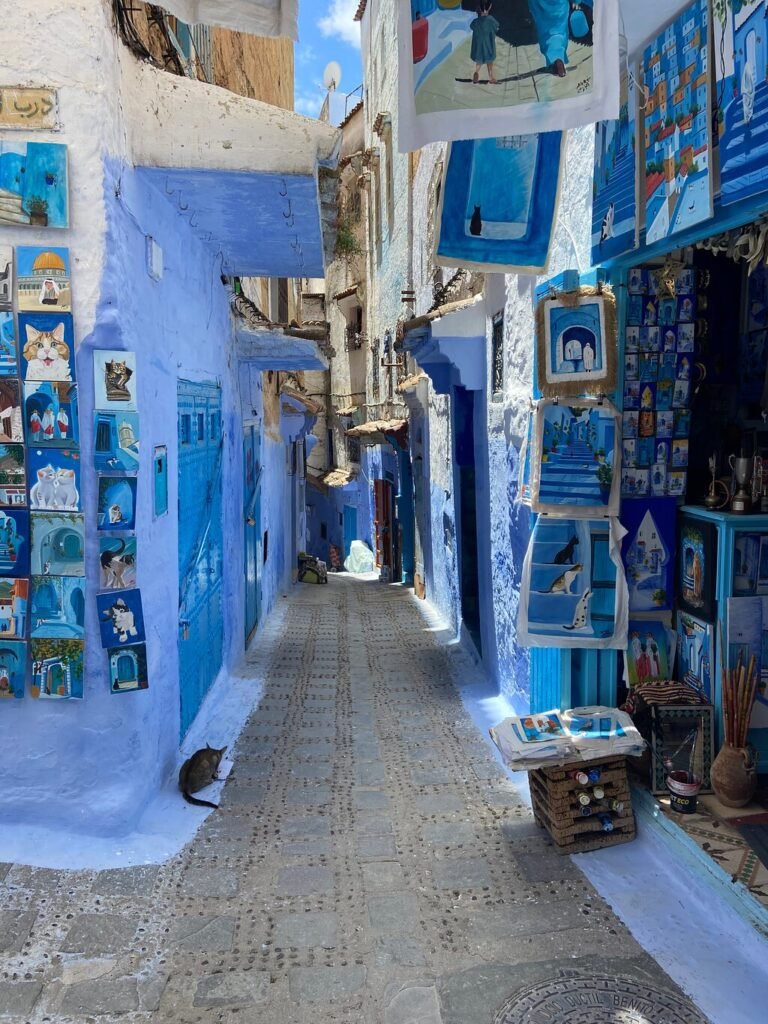 Depuis Casablanca : excursion guidée partagée à Chefchaouen