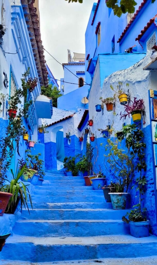 Depuis Casablanca : excursion guidée partagée à Chefchaouen