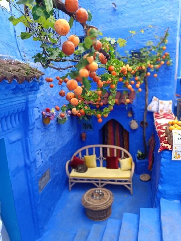 Depuis Casablanca : excursion guidée partagée à Chefchaouen