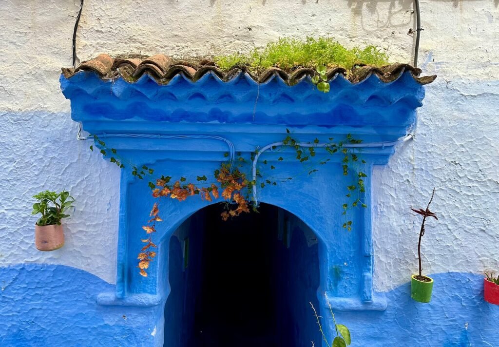Depuis Casablanca : excursion guidée partagée à Chefchaouen