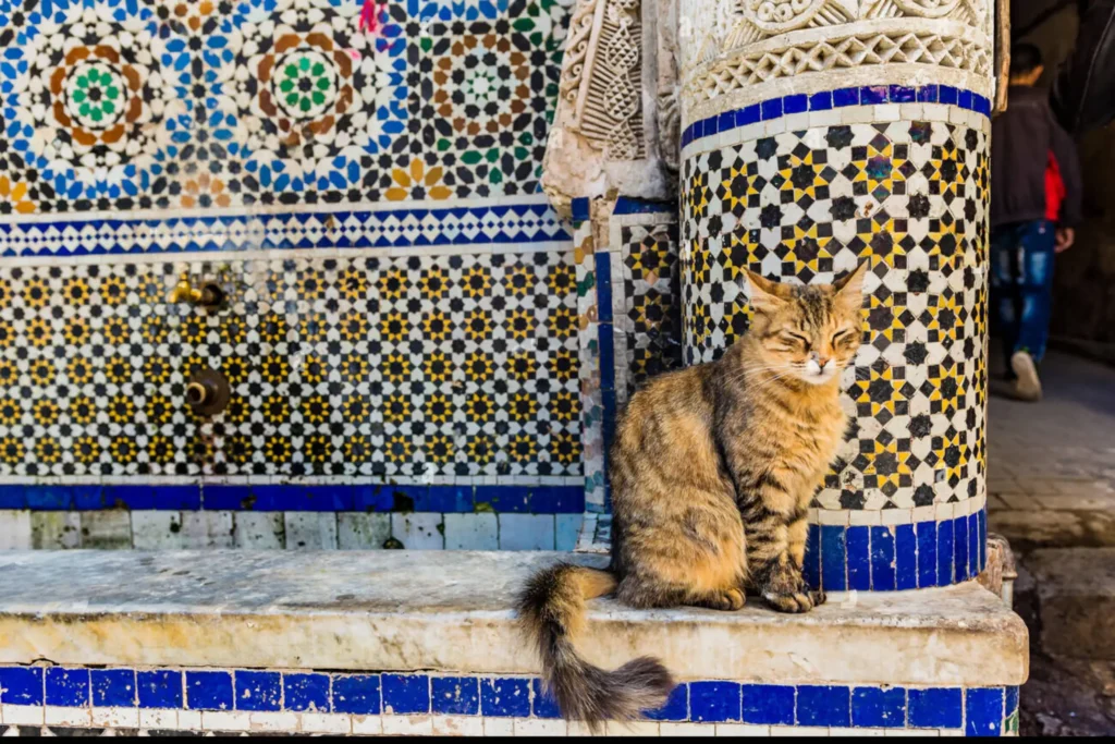 Fès depuis Casablanca : excursion