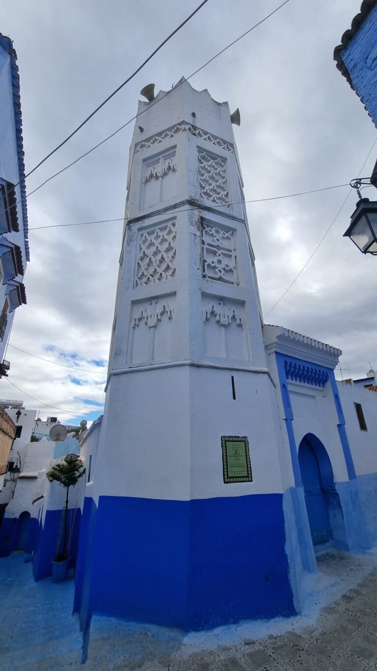 Depuis Casablanca : excursion guidée partagée à Chefchaouen