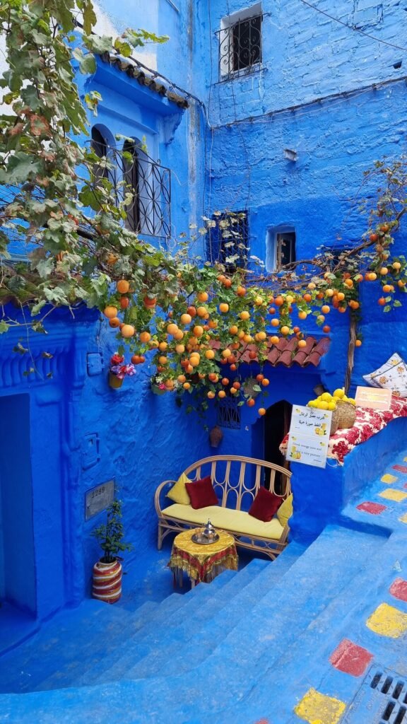 Depuis Casablanca : excursion guidée partagée à Chefchaouen