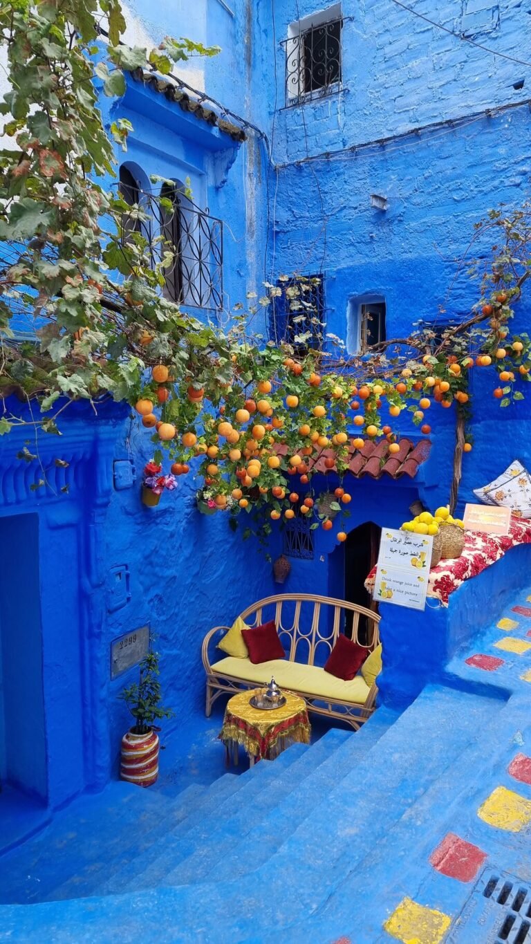 Depuis Casablanca : excursion guidée partagée à Chefchaouen