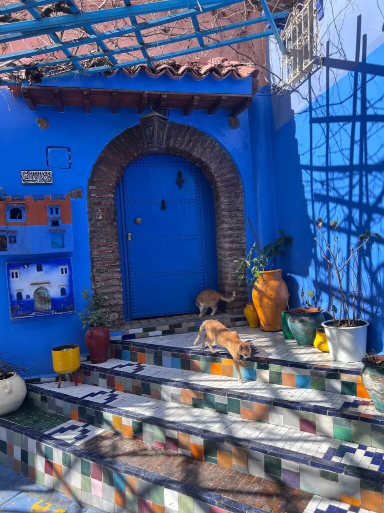 Depuis Casablanca : excursion guidée partagée à Chefchaouen