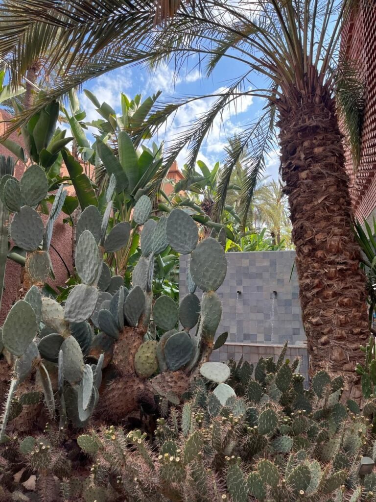 Musée Yves Saint Laurent Marrakech : préparer sa visite