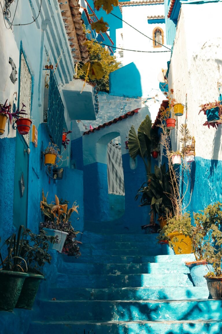 Depuis Casablanca : excursion guidée partagée à Chefchaouen